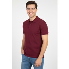 Polo Yaka, Kısa Kol Tişört