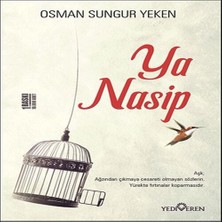 TeknoKapsül Ya Nasip