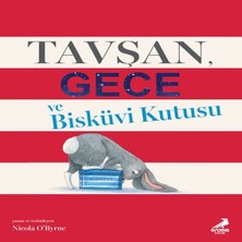 TeknoKapsül Tavşan Gece ve Bisküvi Kutusu