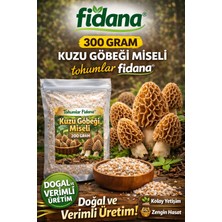 300 Gram Kuzu Göbeği Miseli Tohumlar Fidana