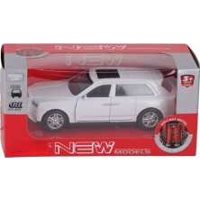 NW Nessi World FY6258 Kutulu Metal Çek Bırak Araba