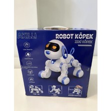 Butik Mey Ithalat® 6601 Uzk Kumandalı Dans Edebilen Robot Köpek