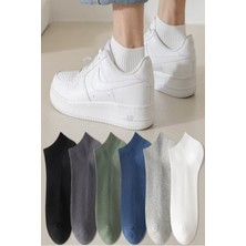 Ozzy Socks Pamuklu Sneaker Çorap Renkli Çizgili Desenli Dikişsiz Fitilli 6 Çift Set