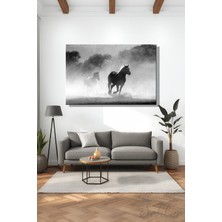 Şehber Modern Dekoratif Tekli Kanvas Duvar Tablosu Yatay Salon Mutfak Yatak Odası Ofis Siyah Beyaz Atlar