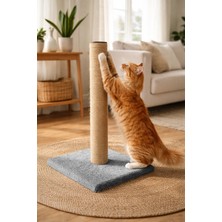 GOBYPET Kediler Için Tırmalama Tahtası