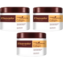 Venuxeell Argan Yağı Keratin Kolojen Doğal Yağ Içeren Besleyici Nemlendirici Saç Bakım Maskesi 3'li Set