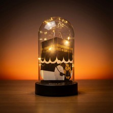 LTG Nova Özel Işikli Kabe Fanus (Çocuksuz)