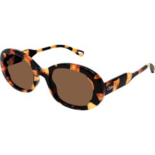 Chloe 0197S 003 Güneş Gözlüğü