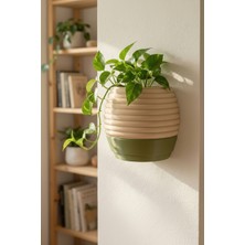 Puffin Design Hive Duvar Saksısı