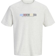 Jack & Jones Jack&jones 12297899 0 Yaka Erkek Tshirt - Gri