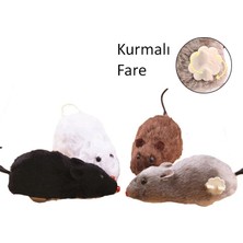 Moresun Buğz Kurmalı Fare Kedi Eğitim Oyuncağı