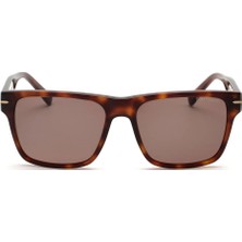 Tom Frank TF1034 03 55 17 145 Unisex Güneş Gözlüğü