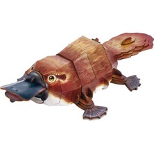 Cubic Fun National Geographic - Ornitorenk 3D Puzzle DS1184H