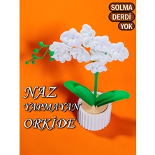 Home Naz Yapmayan Orkide Sulama Yok , Solma Derdi Yok Yapay Orkide Büyük Boy