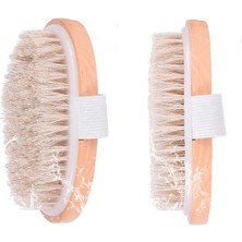 Moresun Buğz Parlak ve Pürüzsüz Görünüm Sağlayan %100 Doğal At Kılı Selülit Fırçası (Özel Kutulu) ( Buğz )