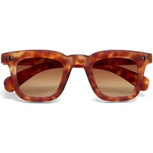 Okkia Firenze Unisex Güneş Gözlüğü Sahara Havana / Lens: Kahverengi Gradyan