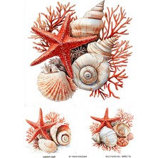 Lineart MRN176 Deniz Yıldızı Desenli 29*42 cm Pirinç Dekopaj