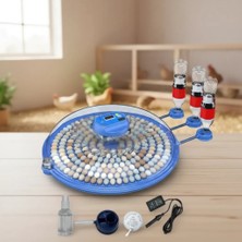 Alvo Store Buğz 80 ve 240 Kapasiteli Fonksiyonel Tam Otomatik Kuluçka Papağan Mini Kuş Tavuk Kaz Ördek Uyumlu ( Buğz )