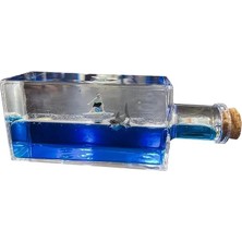 LTG Nova Şişe Içinde Batmayan Gemi