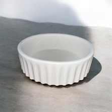 Genel Büyük Sukulent Saksısı 15X6 cm (Özel Üretim)