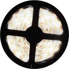 Cata 120 Çi̇p Şeri̇t LED Iç Mekan Beyaz 5mt/adet Cat CT-4540