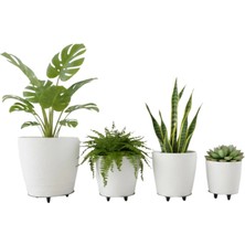 VeraGlobe Buğz 4lü Vazo Beyaz - Buğz