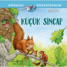 Binbir Göz Kitap Küçük Sincap Dünyayı Öğreniyorum