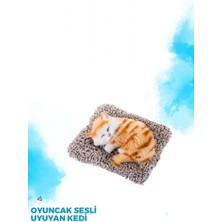 Güzelyüz Avm Minderde Uyuyan Peluş Sesli Kedi