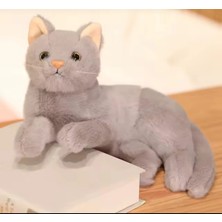 Peluş Kedi Oturan Kedi Peluş Oyuncak Uyku Arkadaşı Kedi Gerçek Kedi Hissi Ithal 30 cm Kedi