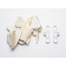 Parça Kalamar Kemiği ve 2 Adet Kalamar Kemiği Tutacağı 50GR