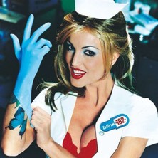 Gereksiz Şeyler Blink 182 Enema Of The State Plak