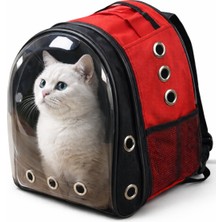 PHENORA Şık Tasarım Kedi Taşıma Çantası Şeffaf Kedi Köpek Evcil Hayvan Taşıma Çantası