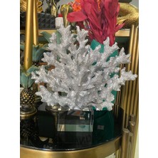 Sahra Concept Krıstal Kaideli Mercan