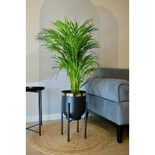 Özbience Şık Metal Saksı Ayaklı Çiçeklik, Siyah ve Gold Detaylı Dekoratif Vazo