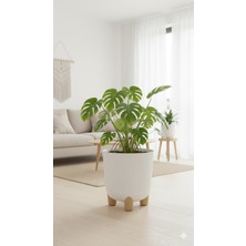 Özbience Modern 25X25 cm Akıllı Altlıklı Saksı, 9 Litre, Şık ve Fonksiyonel