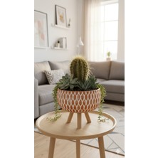 Özbience Ahşap Ayaklı Sukulent ve Kaktüs Saksısı, Doğal ve Şık Dekorasyon