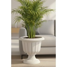 Özbience Şık Ayaklı Plastik Saksı, 6 Litre, Ev ve Bahçe Için Mükemmel Seçim