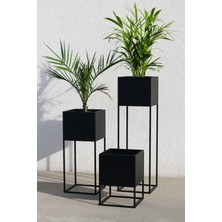Özbience 3’lü Ayaklı Saksı Seti, Modern Metal Dekor, Iç ve Dış Mekan Uyumlu