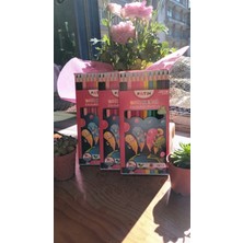 Fatih Kuru Boya 3lü Set 12 Li Tam Boy