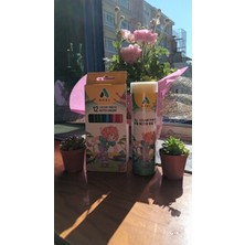 Adel 12'li  Kuru Boya + Adel 24'lü Tüplü Kuruboya