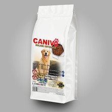 Canivo Golden Retriever  Köpek Maması 15 kg