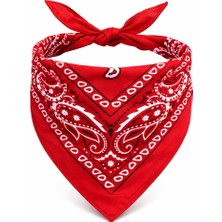 İlk El Grup Kırmızı Kovboy Fuları Çocuk Bandana Western Desenli Boyun Fuları Iegtgrs-34