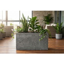 Hobi Tarım Dikdörtgen Beton Saksı 30X100X60CM