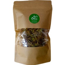 Gotu Kola Centella Asiatica 20 gr