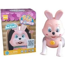 RS-9037C/9038C Kut.pilli Tavşan / Kedi -Zrv ARLSTRTCH-RSG3256