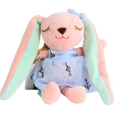Tavşan Peluş Anahtarlık ARLSTRTCH-RSG3256