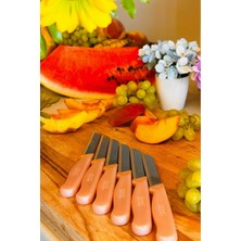 Rooc 6'lı Pembe Simli Tırtıklı Meyve Bıçağı