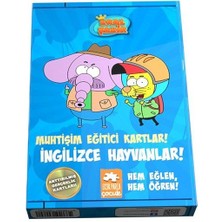 Aesco Muhtişim Eğitici Kartlar! - Ingilizce Hayvanlar!
