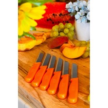 Rooc 6'lı Turuncu Simli Tırtıklı Meyve Bıçağı