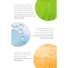 Kırışıklık Görünümünün Düzeltilmesi ve Sıkılaşmaya Yardımcı Resveratrol Serum